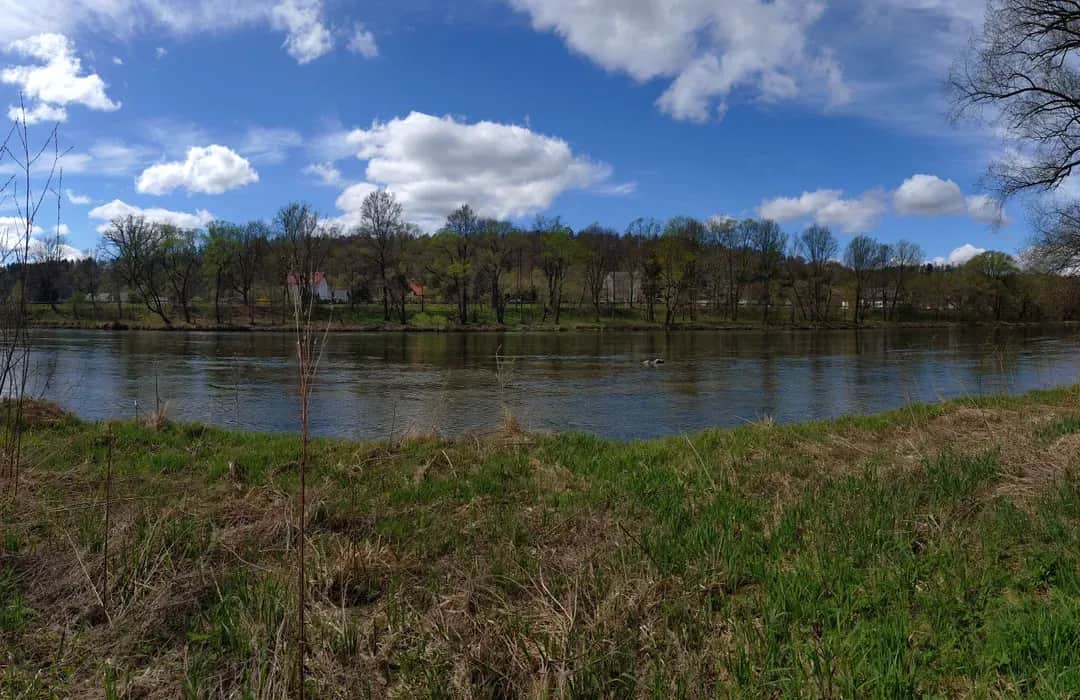Gdzie na spacer z psem w Podkarpackiem? Odkryj najlepsze trasy