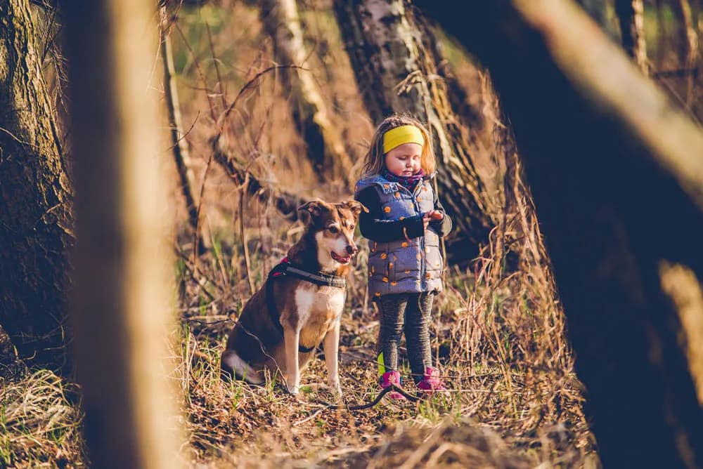 Najlepsze miejsca na spacer z psem w okolicach Warszawy, które musisz znać